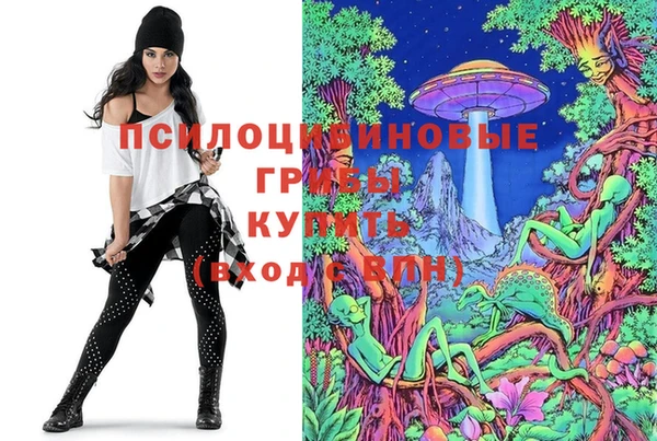 каннабис Баксан
